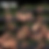 ALSScan 2017-05-23 to 2017-06-12 [2160p] thumb