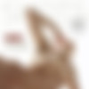 [Hegre-Art.com] 2015-06-12 Rose - Figures [72  / Hi-Res] thumb