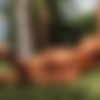 [PhotoDromm.com] 2015-08-23 Dana (aka Dana Harem) - Plein Air 3 [Erotic, Posing, Big Tits, Outdoor, Topless, 720p] thumb