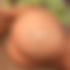 cynegetic Tumblr Rip thumb