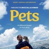 Pets 2025 1080p WEBRip DDP 5 1 10bit H 265-iVy thumb