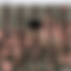 UraBukkake.com Mini Pack thumbnail