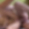 Loan4K 2160p SiteRip thumb