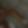 [StasyQ.com] 2019-12-22 AliceQ (365) [Solo, Posing] [2160p, SiteRip] thumb