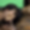 [HoneyTrans.com] Beatriz Oliveira & Thaysa Lopes Thick Horny Trans Hotties Enjoy Deep Intense Anal Sex (Sep, 2024) [2024 ., Shemale On Shemale, Transsexual, Latina, Blowjob, Anal, Cumshot, 1080p, SiteRip] thumb