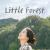 Little Forest [2018] / H264 / MKV / Blu-ray / 1080p / DTS / Korean / Subs thumb