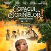 Copacul Dorințelor: Amintiri din Copilărie [2022] / H264 / MKV / WEB / 1080p / AC3 / Romanian / Subs / playWEB thumb