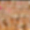 [WOWGIRLS.COM] Image siterip, 376 sets [2020, 2021] thumb