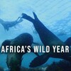 Africa's Wild Year S01 1080p AMZN WEB-DL DD+ 5.1 H.264-NTb thumb