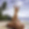[Hegre.com] 2021-10-26 Mira - Nude Beach Photoshoot 4K [outdoor, bts, slim, small tits, posing] [2160p, HDRip] thumb