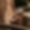 [WowGirls.com / WowFandom.com] Beata, Anjelica ( Jungle Fever / 10.04.14) [2014 ., All Sex, 1080p] thumb