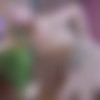 [FerroNetwork.com / PantyhoseScreen.com] Felicia C, Claud (g678) [720p, SATRip/2014 ., Blonde,Natural Tits,Oral,All Sex,Pantyhose] thumb