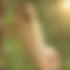 [MPLStudios.com] 2014-11-16 Karissa - Sunburst II [Erotic , 1080p] thumb