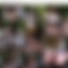 Mydirtyhobby.com - MinaWicked - Megapack of 115 vids thumb