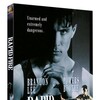Rapid Fire 1992 BluRay 1080p FLAC 2 0 AVC REMUX-FraMeSToR thumb