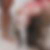 P-Sluts Vol. 37 starring Slutty beauty Vitoria Beatriz drinking a huge bowl of piss and hardcore DAP 0% Pussy (anal, rimming, puk3) [1080p] thumb