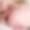 [AnalOverdose.com / PervCity.com] Remy Rayne - 1St Anal For Hottie (09.05.2019) [2019 ., Anal Creampie, Rim Job, Anal Sex, Ass To Mouth, Ass to Pussy, Ball sucking, Blowjob, Brunette, Cumshots, Doggy style, First Anal, Gaping, Teen, 1080p] thumb