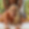 [CastingCouch-HD.com] CastingCouch-HD Doggy Style Compilation [2022 ., BBC, Big Ass, Brunette, Blonde, Compilation, Doggy Style, Female Completion, Interracial, Natural Tits, Redhead, Teen, 1080p, WEB-DL] thumb