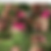 ClubSeventeen.com Siterip (720p)[Names A-E - 517 Scenes] thumb