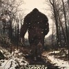 On the Trail of Bigfoot Land of the Missing 2023 1080p AMZN WEB-DL DDP2 0 H 264-ADLER thumb
