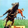 Ride a Crooked Trail [1958] / H264 / MKV / Blu-ray / 1080p / FLAC / Subs thumb