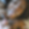 Sierra - Unretired thumb