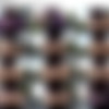AssAndFurious.com SiteRip thumb