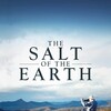 The Salt of the Earth [2014] / H264 / MKV / Blu-ray / SD / AC3 / French / Subs thumb
