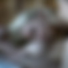 [Hegre-Art.com]  [, DVDRip] thumb