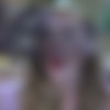 [LacyNylons.com]   : Rosa g622 (07-01-2012) [2012 ., Solo, Stockings, Toys, 720p] thumb