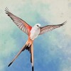 Wingspan Bird Pack British Birds MacOS-I KnoW thumb