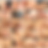 [Sineplex.com] Frisky Cat and Jane / ,  (Point of View 6) [2011, Anal, SiteRip] thumbnail