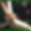 Kinkycore session 585 thumb