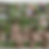 TrickyOldTeacher.com MegaPack (27 clips) [2016-2019, Teens, All sex, Old and Young, 3Some] [720p, 1080p] thumb