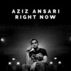 Aziz Ansari: Right Now [2019] / H264 / MKV / WEB / 1080p / AC3 / Subs / Scene / AMRAP thumb