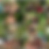 [CzechGardenParty.com / CzechAV.com] CZECH GARDEN PARTY 1 (2014 .) [Group Sex, Hardcore, Party, Orgy, Swingers, Amateurs, Outdoors] thumb