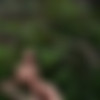[Nude-in-russia.com] 2023-08-20 Lera 2 - Gene Oryx - Island Russky [Exhibitionism] [2700*1800, 51 ] thumb