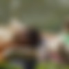 [NatashaShy.com] Beata & Natasha (Wild Nymphs / 25.07.2012) [2012 ., Legal Teen, Lesbian, Outdoor, HDRip, 720p] thumb