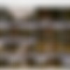 [PlayboyPlus.com] 2019 Nirmala Fernandes - Nirmala Fernandes - Divine Desires 03.07.19 [Erotic] [1080p] thumb