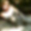 [MudPuddleVisuals.com] MPV - Premial MiniPack / MPV - - (3 vids, Dave Lodoski, Mud Puddle Visuals) [2013 ., WAM, Fetish, 720p, HDRip] thumbnail