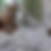 LaceyStarr.com - The Language Student (19.06.25) 1080p thumbnail