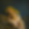 Skittlepop [SuicideGirls.com] [2016-2021] [solo, posing] [4000x2442 - 4912x7360, 480 , 9 ] thumb