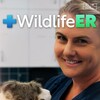 Wildlife ER S03E06 1080p WEB h264-EDITH thumb