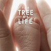 The Tree of Life [2011] / H264 / MKV / Blu-ray / 720p / DTS / WiKi thumb