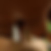 NetVideoGirls.com - Amazonia thumbnail