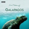 Sir David Attenborough Galapagos 2013 BDRip x264-ARCHiViST thumb