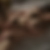 [IFeelMyself .com] Orgasm compilation (September 2015) [2015 ., Masturbation, Amateur, Solo, Toys, Lesbian,Hairy, CamRip] thumb