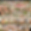 [WOWGIRLS.COM] Image siterip, 622 sets [2018, 2019] thumb