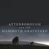 Attenborough and the Mammoth Graveyard [2021] / H264 / MKV / WEB / 1080p / AAC / Subs / NTb thumb