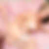 Brenda James (63) MegaPack [2007-2017, MILF, Anal, Facial, GangBang] thumbnail